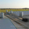 Professional commercial steel structure poultry farming shed chicken house